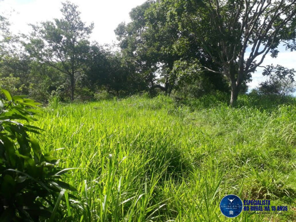 Imagem Chácara à Venda, 3 m² em Setor Central - Itapuranga Imagem Chácara à Venda, 3 m² em Setor Central - Itapuranga