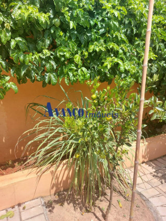 Imagem Casa com 1 Quarto à Venda, 300 m² em Roseira - Jundiaí