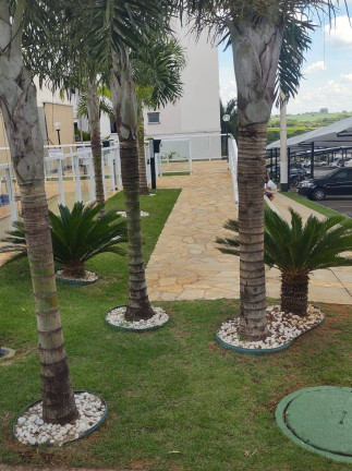 Imagem Apartamento com 2 Quartos à Venda,  em Vila São Pedro - Hortolândia