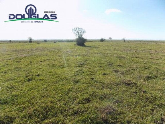 Imagem Chácara à Venda, 8 m² em águas Claras - Viamão