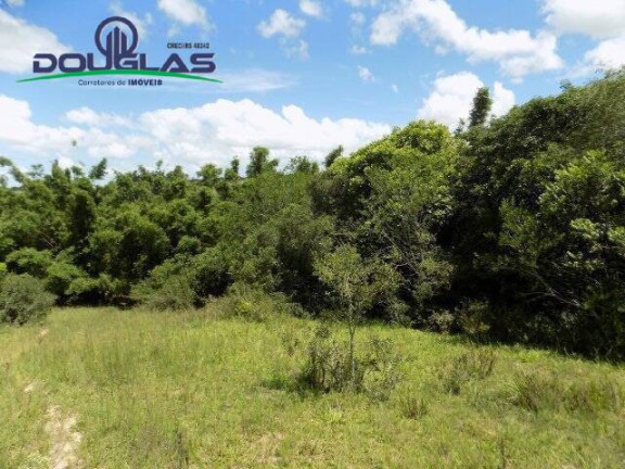 Imagem Chácara com 2 Quartos à Venda, 190.000 m² em Viamão