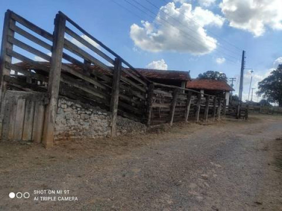 Imagem Chácara com 4 Quartos à Venda, 2.000 m² em Alambari