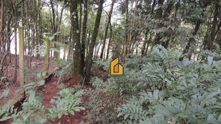 Imagem Chácara com 2 Quartos à Venda, 171 m² em Colônia Cristina - Araucária