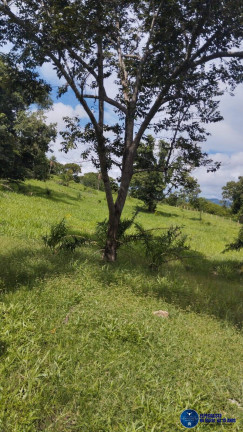Imagem Fazenda à Venda, 59 m² em Zona Rural - Morro Agudo De Goiás Imagem Fazenda à Venda, 59 m² em Zona Rural - Morro Agudo De Goiás