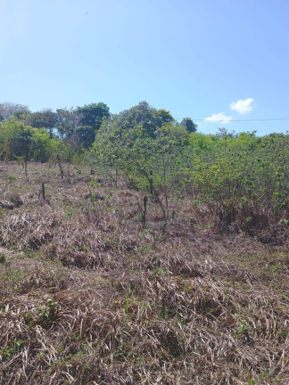 Imagem Terreno à Venda, 1.000 m² em Centro De Tibau Do Sul - Tibau Do Sul Imagem Terreno à Venda, 1.000 m² em Centro De Tibau Do Sul - Tibau Do Sul