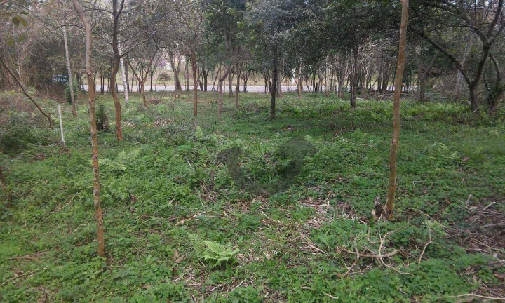 Imagem Terreno à Venda, 6.021 m² em Germânia - Santa Cruz Do Sul Imagem Terreno à Venda, 6.021 m² em Germânia - Santa Cruz Do Sul
