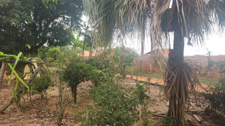 Imagem Imóvel com 5 Quartos à Venda, em Bairro Dos Mirandas - Tatuí Imagem Imóvel com 5 Quartos à Venda, em Bairro Dos Mirandas - Tatuí