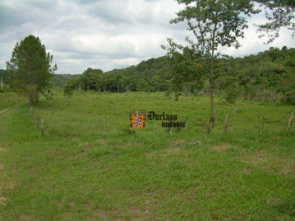 Imagem Imóvel à Venda, 194.154 m² em Parque Santa Rosa - Suzano Imagem Imóvel à Venda, 194.154 m² em Parque Santa Rosa - Suzano