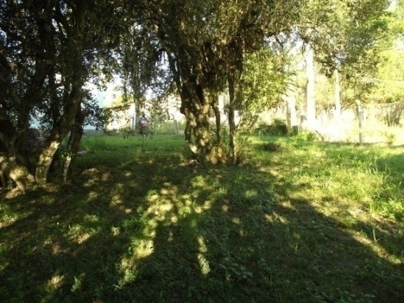 Imagem Casa com 2 Quartos à Venda, 500 m² em águas Claras - Viamão