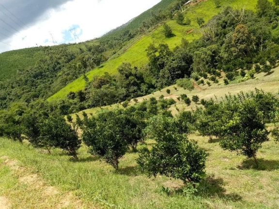 Imóvel com 2 Quartos à Venda, 51.700 m² em Centro - Cerro Azul