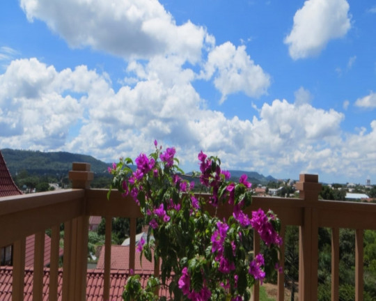 Imagem Imóvel com 3 Quartos à Venda, 179 m² em Pousada Da Neve - Nova Petrópolis Imagem Imóvel com 3 Quartos à Venda, 179 m² em Pousada Da Neve - Nova Petrópolis