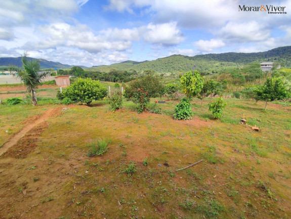 Imagem Chácara à Venda, 3.000 m² em Campestre Da Faxina - São José Dos Pinhais