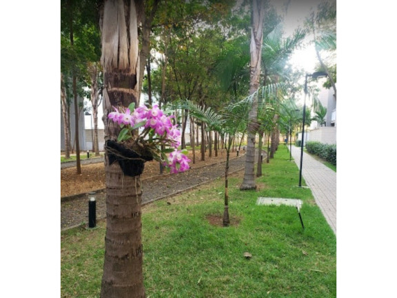 Imagem Apartamento com 2 Quartos à Venda, 60 m² em Morumbi - Paulínia