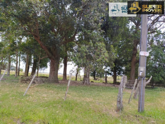 Imagem Imóvel com 2 Quartos à Venda, 60.000 m² em Quinta - Rio Grande