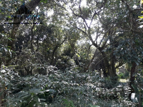 Imagem Terreno em Condomínio à Venda, 525 m² em Gramado - Cotia Imagem Terreno em Condomínio à Venda, 525 m² em Gramado - Cotia