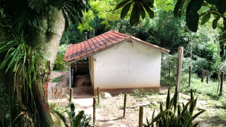 Imagem Fazenda à Venda, 500 m² em Pernambucana - Paraibuna Imagem Fazenda à Venda, 500 m² em Pernambucana - Paraibuna