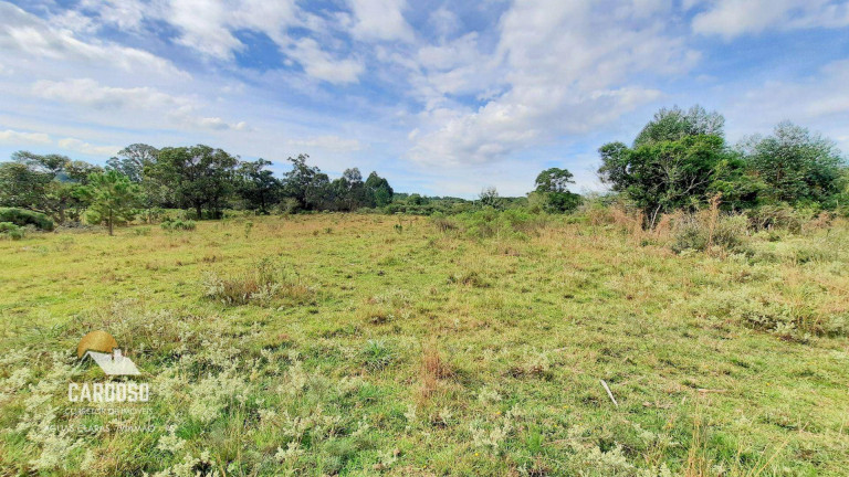 Imagem Fazenda à Venda, 20.000 m² em águas Claras - Viamão Imagem Fazenda à Venda, 20.000 m² em águas Claras - Viamão