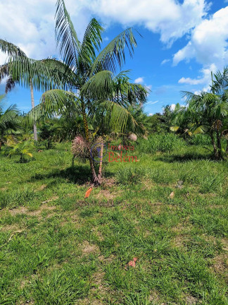 Imagem Imóvel com 2 Quartos à Venda, 200.000 m² em Centro - Acará Imagem Imóvel com 2 Quartos à Venda, 200.000 m² em Centro - Acará