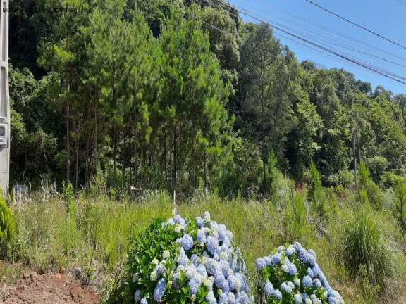 Imagem Terreno à Venda, 429 m² em Linha Imperial - Nova Petrópolis