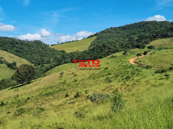Imagem Imóvel à Venda,  em Zona Rural - Pouso Alto
