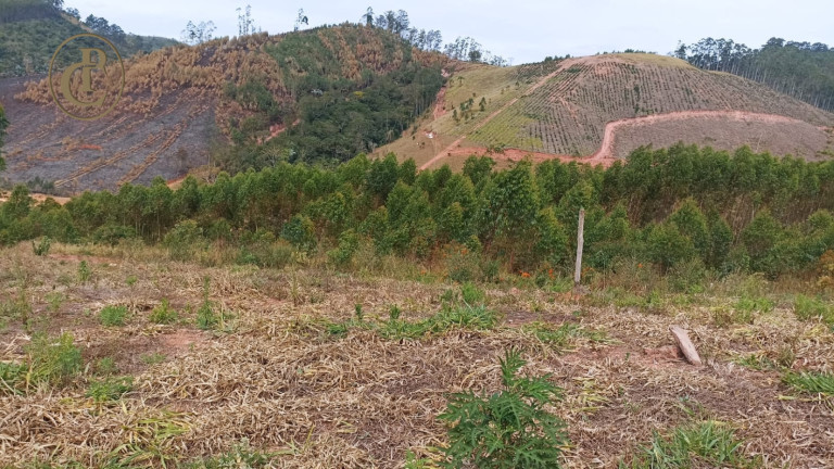 Imagem Terreno à Venda, 100 m² em Centro - Paraibuna Imagem Terreno à Venda, 100 m² em Centro - Paraibuna