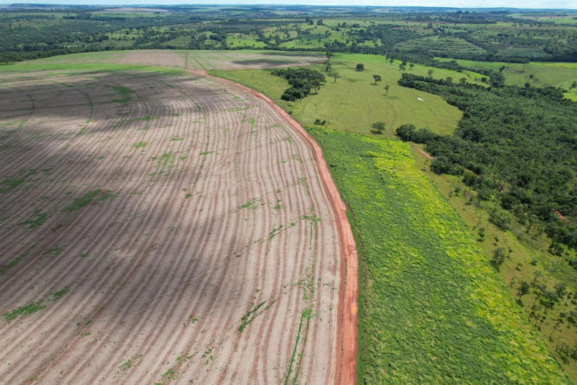 Imagem Fazenda à Venda, 74 m² em Zona Rural - Prata Imagem Fazenda à Venda, 74 m² em Zona Rural - Prata