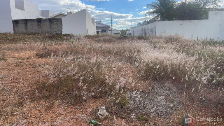 Imagem Terreno à Venda, 360 m² em Copacabana - Patos De Minas Imagem Terreno à Venda, 360 m² em Copacabana - Patos De Minas