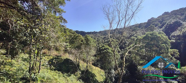 Imagem Chácara à Venda, 100 m² em Centro - Gonçalves