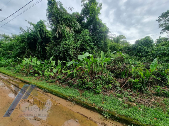 Imagem Terreno à Venda, 531 m² em Itamambuca - Ubatuba Imagem Terreno à Venda, 531 m² em Itamambuca - Ubatuba