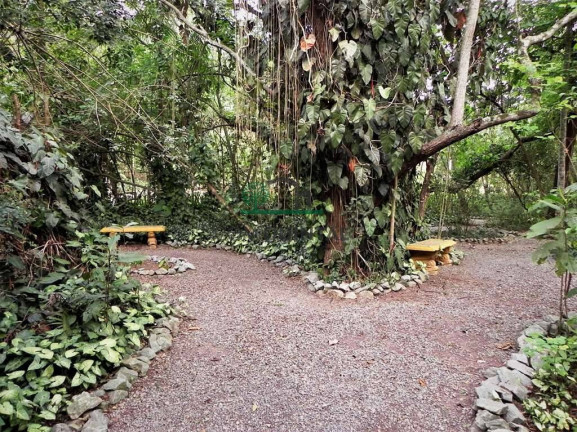 Imagem Casa com 4 Quartos à Venda, 2 m² em Parque Silvino Pereira - Cotia Imagem Casa com 4 Quartos à Venda, 2 m² em Parque Silvino Pereira - Cotia