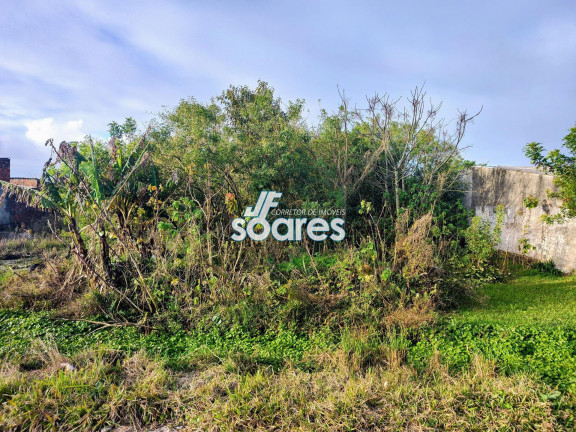 Imagem Terreno à Venda, 429 m² em Laranjal - Pelotas Imagem Terreno à Venda, 429 m² em Laranjal - Pelotas
