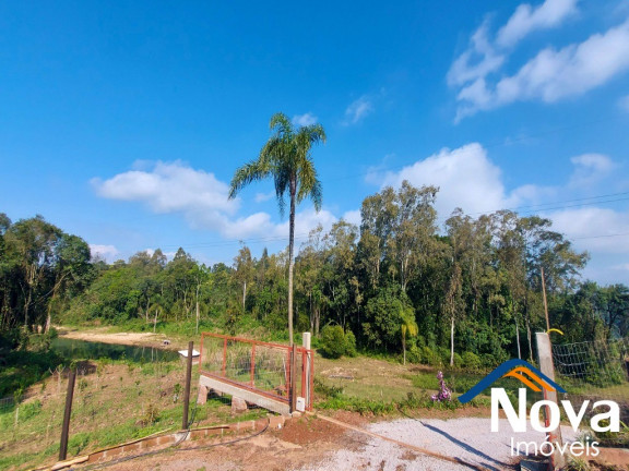 Imagem Imóvel à Venda, 32.549 m² em Linha Olinda - Nova Petrópolis Imagem Imóvel à Venda, 32.549 m² em Linha Olinda - Nova Petrópolis