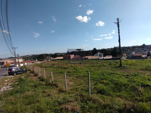 Imagem Terreno à Venda, 9.139 m² em Campo Pequeno - Colombo Imagem Terreno à Venda, 9.139 m² em Campo Pequeno - Colombo