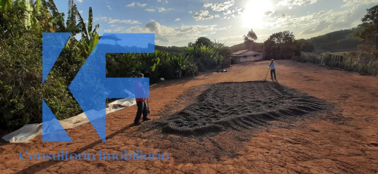 Imagem Imóvel à Venda, em São Caetano Do Lino - Capelinha Imagem Imóvel à Venda, em São Caetano Do Lino - Capelinha