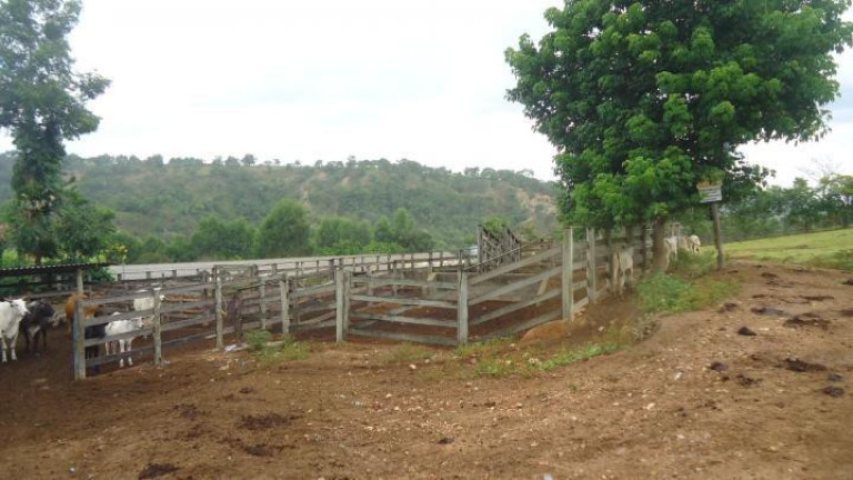 Imagem Fazenda à Venda, 60 m² em Azurita - Mateus Leme