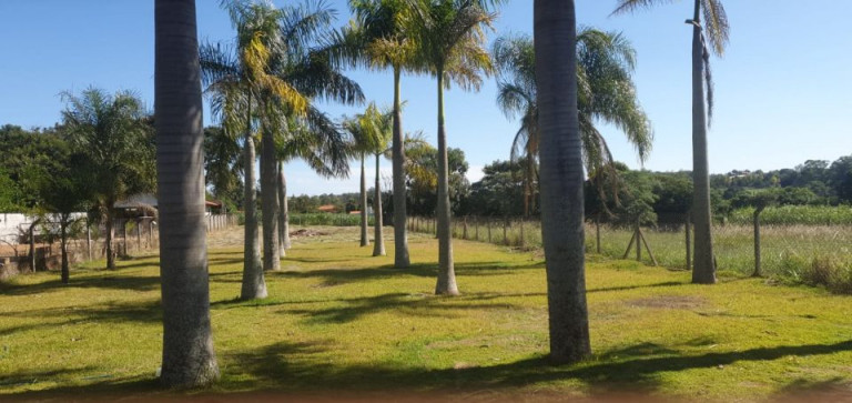 Imagem Imóvel à Venda, 2.300 m² em Gleba Fazenda Palhano - Londrina Imagem Imóvel à Venda, 2.300 m² em Gleba Fazenda Palhano - Londrina