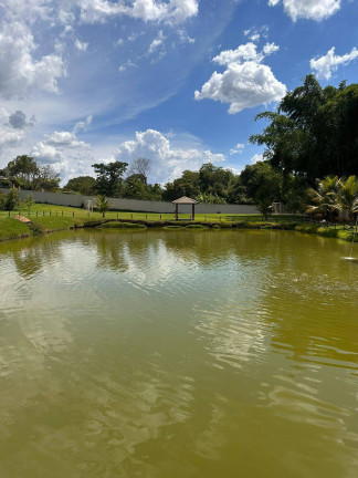 Imagem Chácara com 2 Quartos à Venda, 7.700 m² em Centro - Trindade Imagem Chácara com 2 Quartos à Venda, 7.700 m² em Centro - Trindade