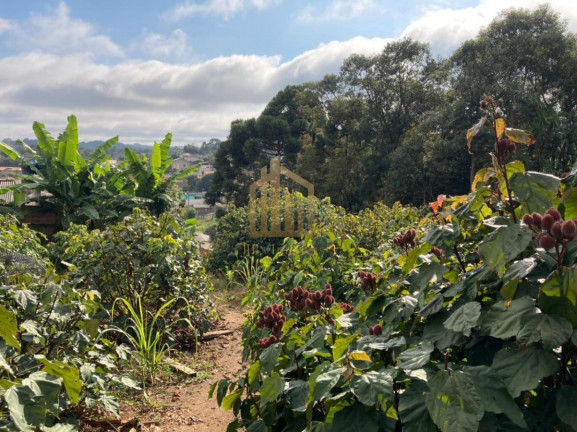 Imagem Terreno à Venda, 2.080 m² em Vila Santa Terezinha - Loteamento Vila Santo Onofre - Campo Largo