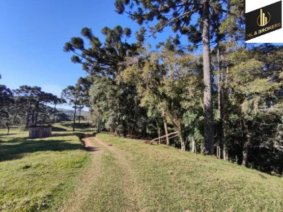 Imagem Imóvel com 2 Quartos à Venda, 20.000 m² em Zona Rural - Balsa Nova Imagem Imóvel com 2 Quartos à Venda, 20.000 m² em Zona Rural - Balsa Nova