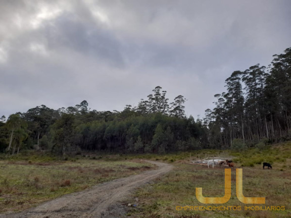 Imagem Terreno à Venda, 100 m² em Alto Cedros - Rio Dos Cedros Imagem Terreno à Venda, 100 m² em Alto Cedros - Rio Dos Cedros