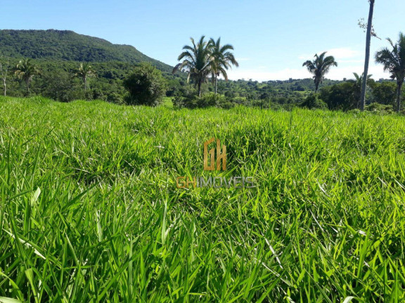 Imagem Chácara à Venda, 338.800 m² em Area Rural - Novo Brasil Imagem Chácara à Venda, 338.800 m² em Area Rural - Novo Brasil