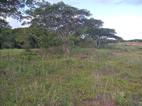 Imagem Chácara à Venda, 20.000 m² em águas Claras - Viamão