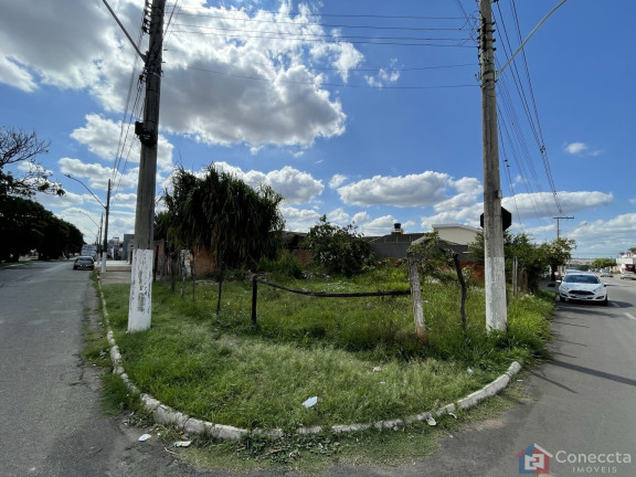 Imagem Terreno à Venda, 520 m² em Brasil - Patos De Minas