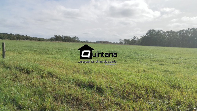 Imagem Imóvel com 2 Quartos à Venda, 470.000 m² em Quinta - Rio Grande Imagem Imóvel com 2 Quartos à Venda, 470.000 m² em Quinta - Rio Grande