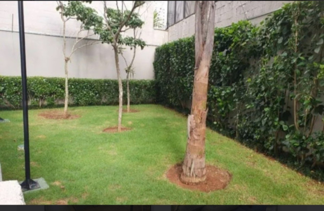 Imagem Apartamento com 2 Quartos à Venda, 57 m² em Vila Mariana - São Paulo Imagem Apartamento com 2 Quartos à Venda, 57 m² em Vila Mariana - São Paulo