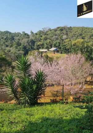 Imagem Imóvel com 4 Quartos à Venda, 46.000 m² em Freguesia Dos Laras - Campo Magro Imagem Imóvel com 4 Quartos à Venda, 46.000 m² em Freguesia Dos Laras - Campo Magro