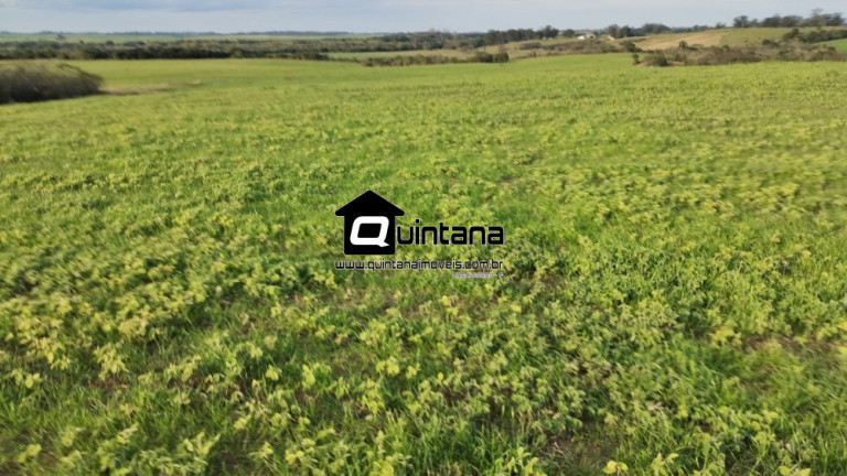 Imóvel à Venda, 200.000 m² em Fragata - Pelotas