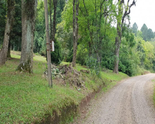 Imagem Imóvel à Venda, 4.604 m² em Linha Imperial - Nova Petrópolis Imagem Imóvel à Venda, 4.604 m² em Linha Imperial - Nova Petrópolis
