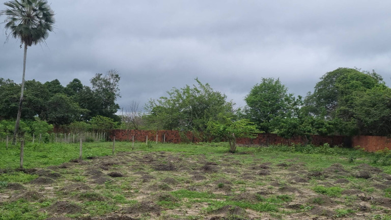 Imagem Terreno à Venda, 10.828 m² em Camará - Aquiraz