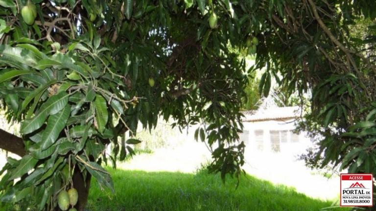 Imagem Casa com 5 Quartos à Venda, 400 m² em Vale Do Ipe Amarelo - Esmeraldas
